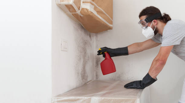 Professional Attic Mold Remediation technician working in Manchester Township, NJ