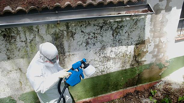 Top rated local Attic Mold Remediation specialists in Manchester Township, NJ